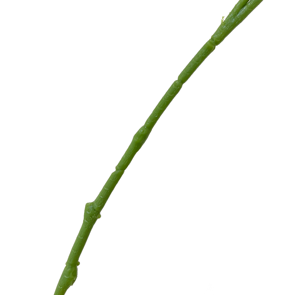 1 Artificial weeping jasmine