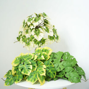 Simulation Turtle Back Leaf