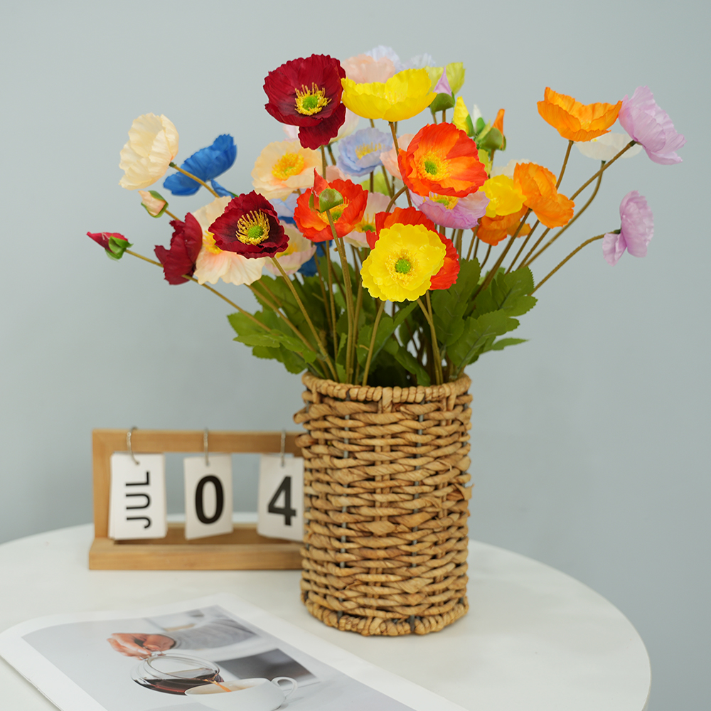 1 Corn Poppy