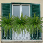 Artificial fern home