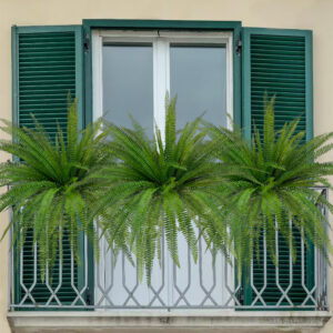Artificial fern home