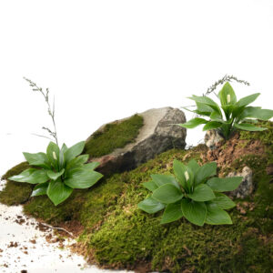 Artificial yu zhen flower plants