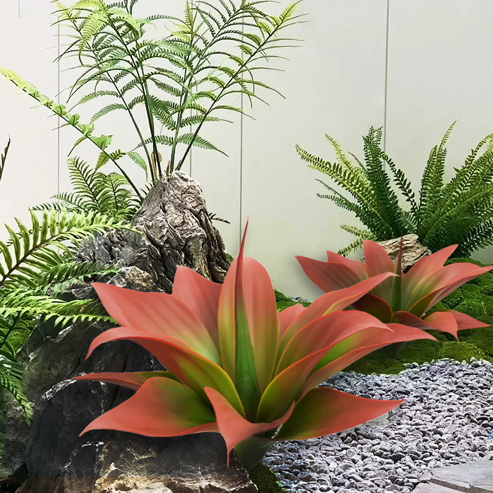 agave plants