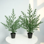 Christmas simulation Norfolk pine