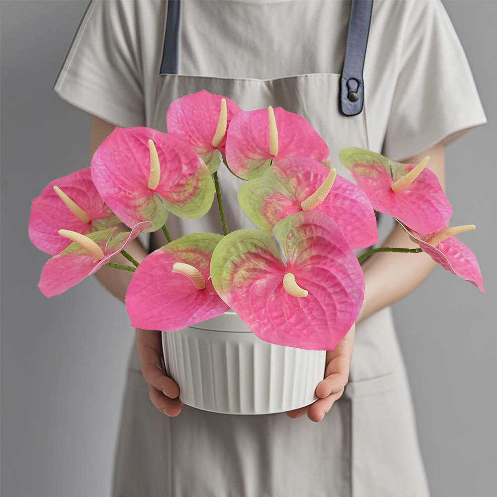 9 Anthurium Leaves
