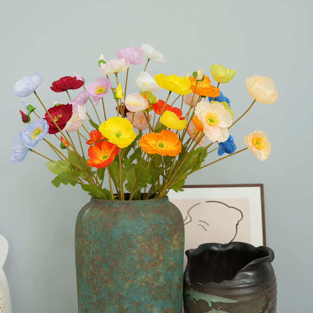Corn Poppy