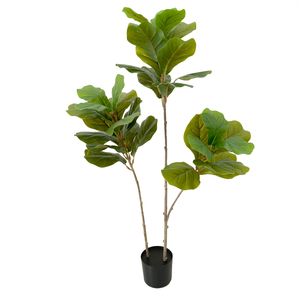 artificial tropical tree Ficus mandshurica