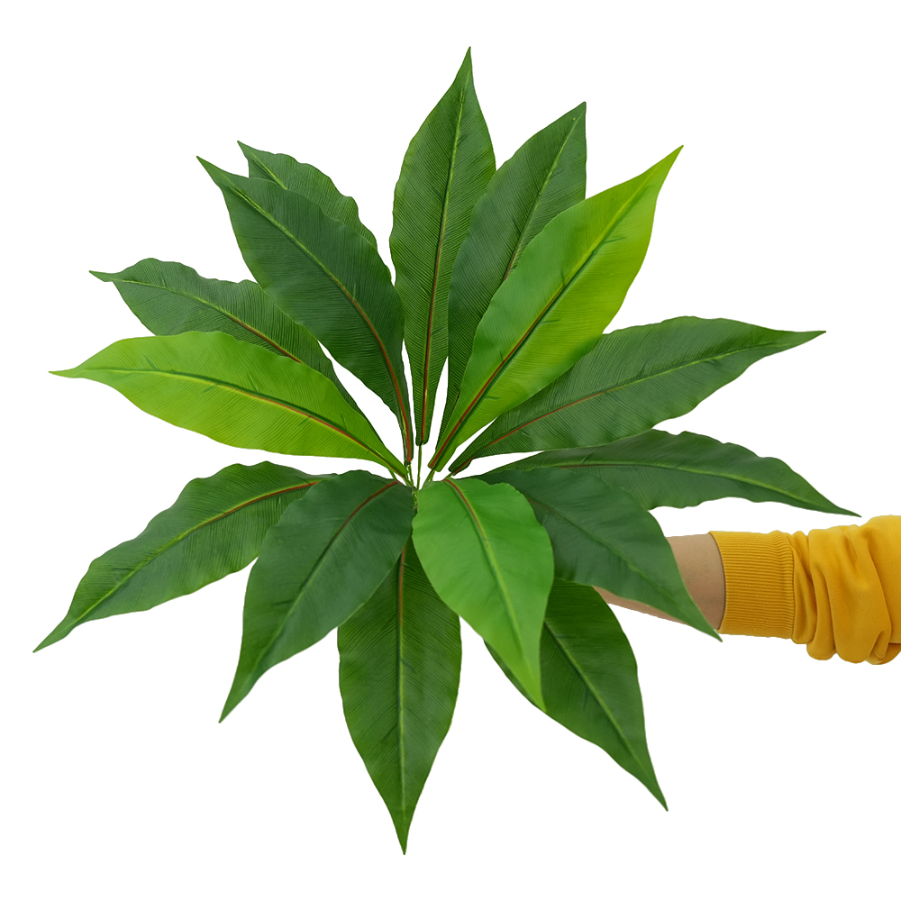 Simulation of green plant Brazilian wood