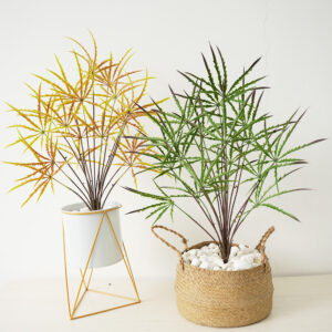 Peacock Wooden Bundle