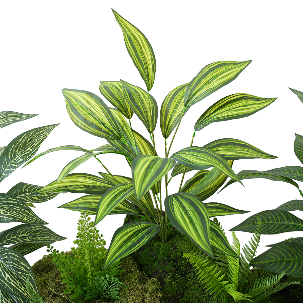 Green plant Brazilian taro leaves