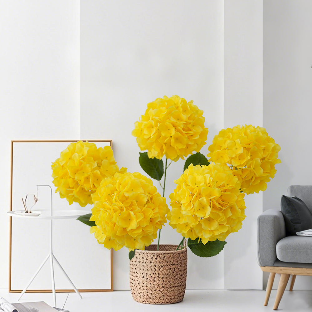 Simulation Anna hydrangea