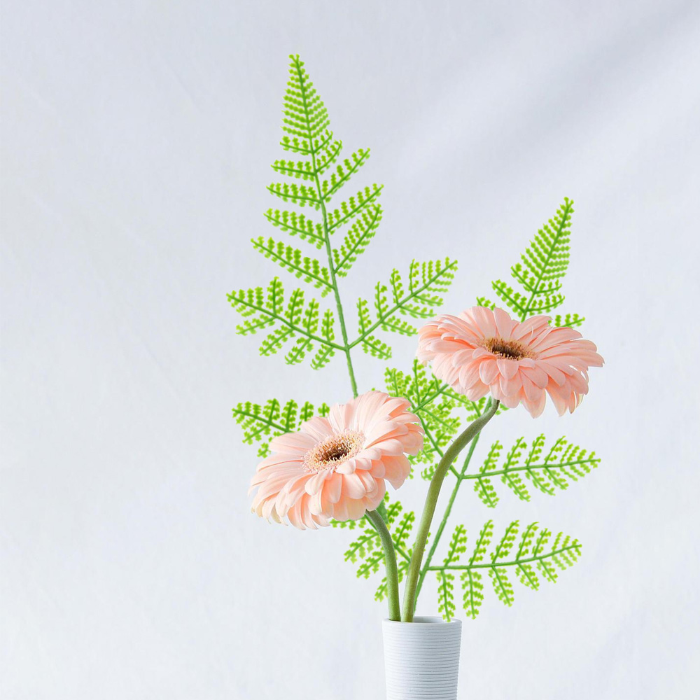 5号草 Artificial grass