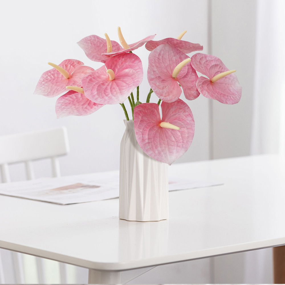 9 Anthurium Leaves