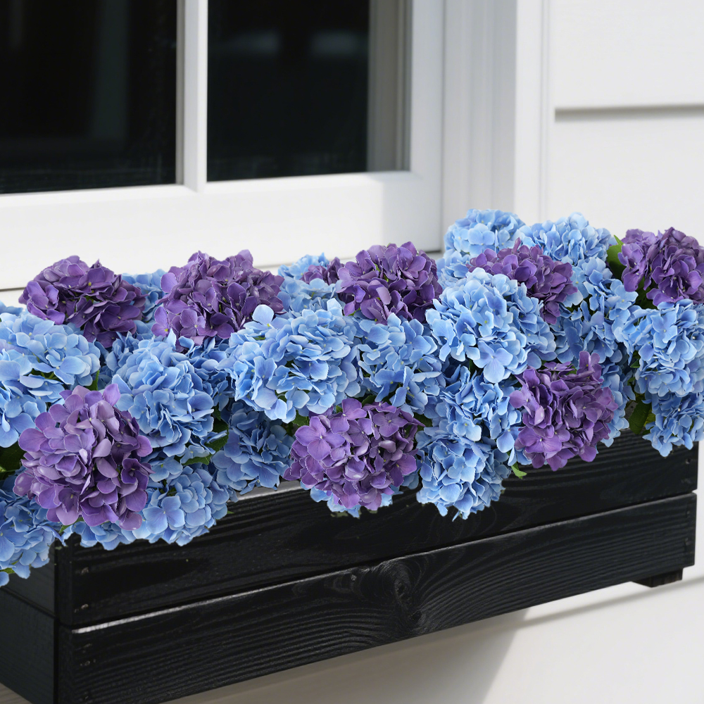 7 Simulation film hydrangea