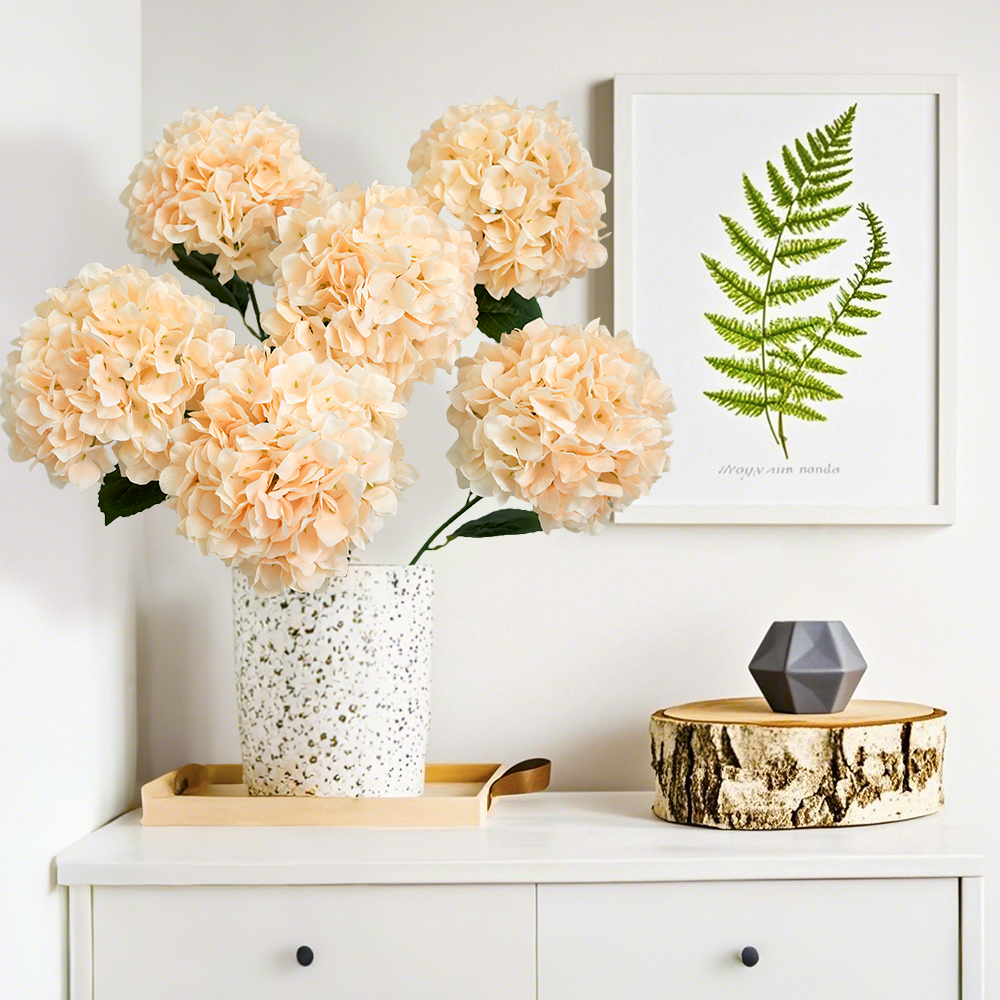 32 Simulation Anna hydrangea