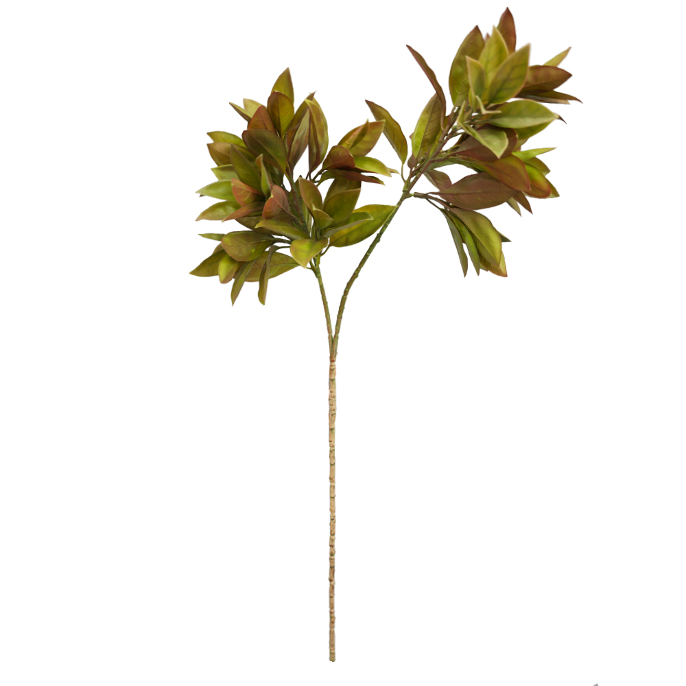 Simulated two-pronged apple leaf