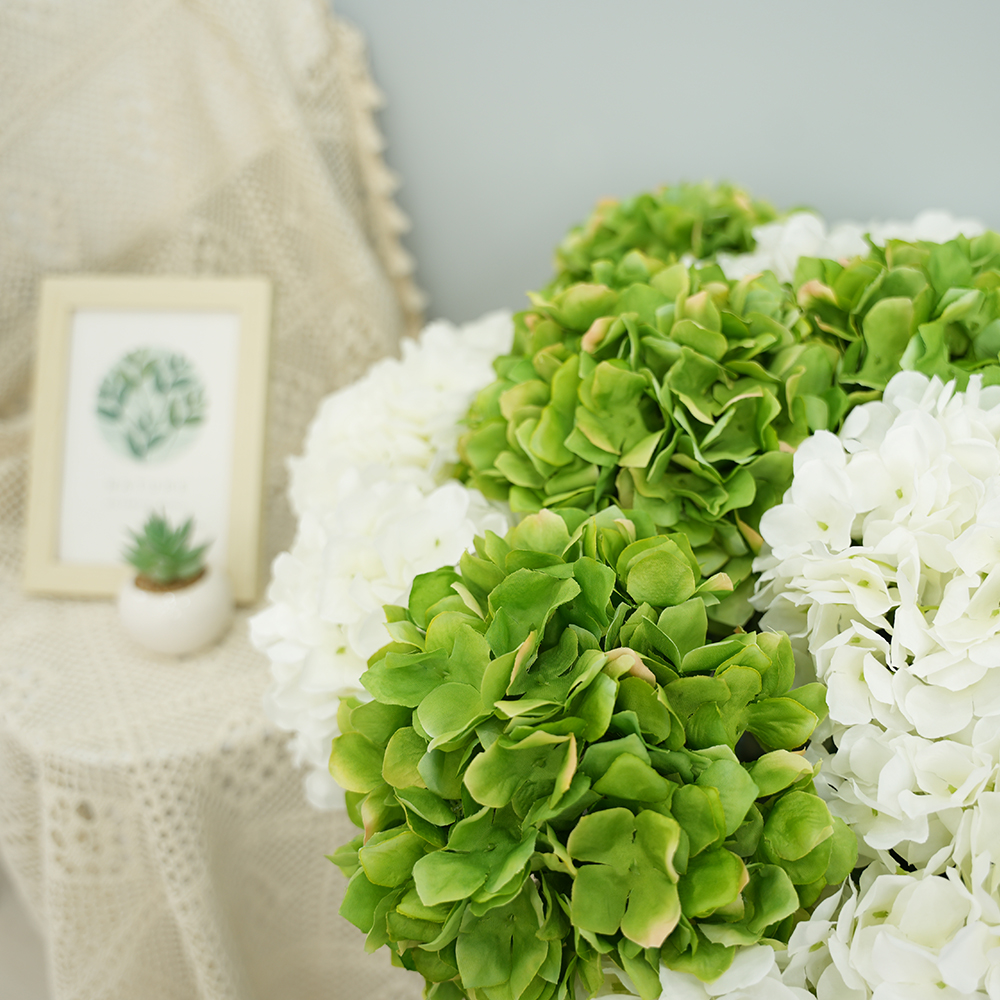 32 Simulation Anna hydrangea