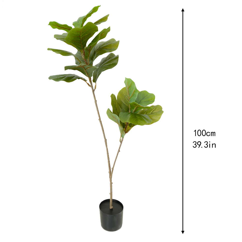 artificial tropical tree Ficus mandshurica
