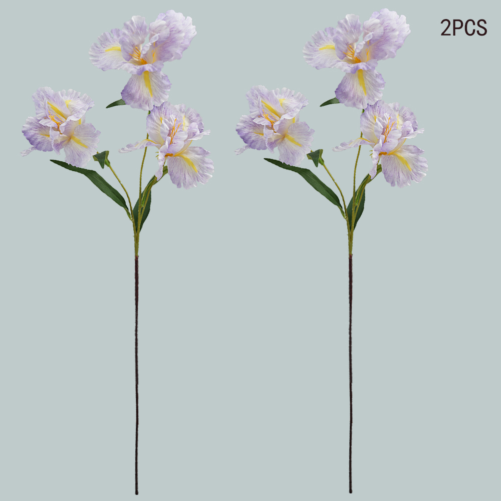 simulation of iris-3 flower