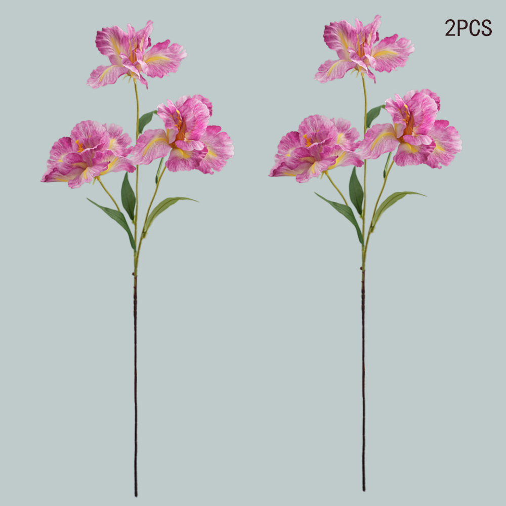 simulation of iris-3 flower