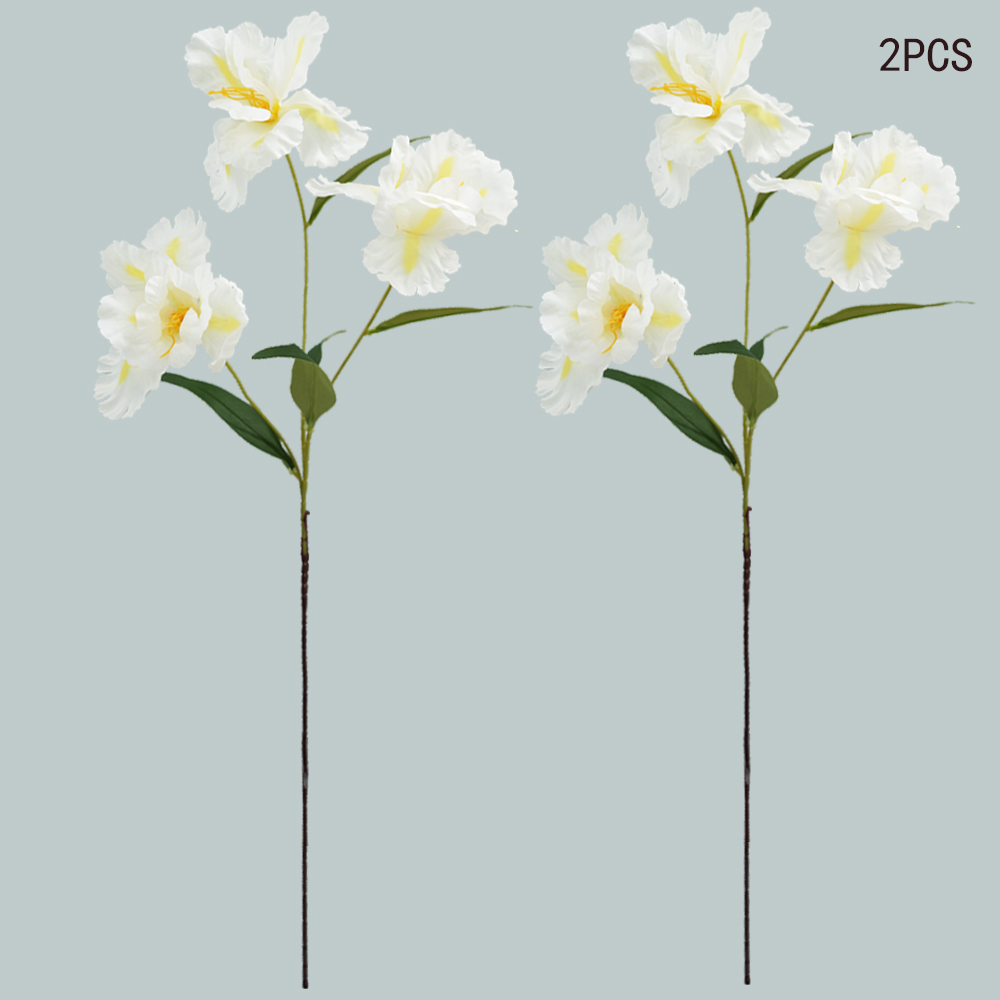 simulation of iris-3 flower