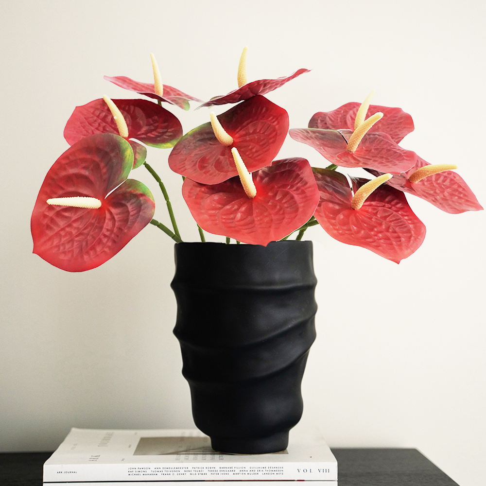 9 Anthurium Leaves