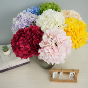 Simulation Anna hydrangea