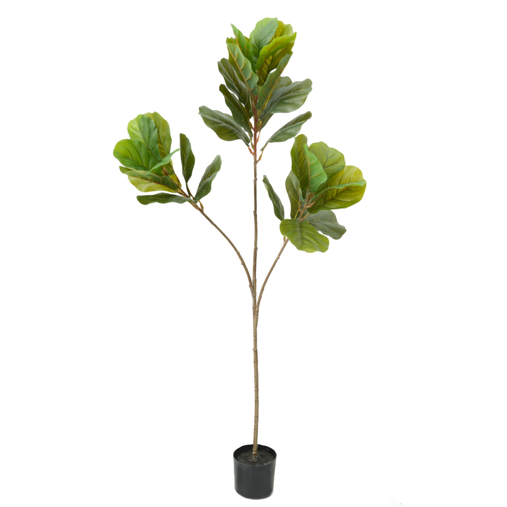 artificial tropical tree Ficus mandshurica