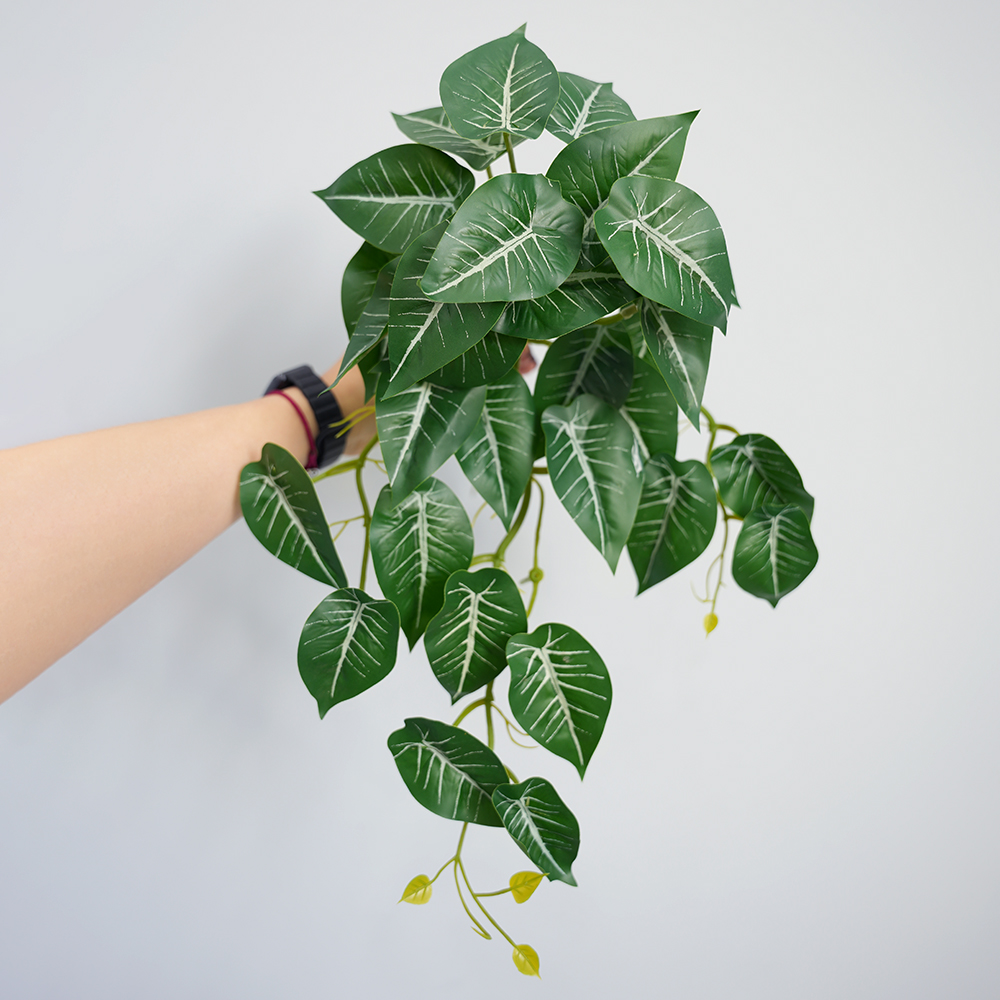 Small Taro Simulation