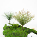 Eulaliopsis binata simulated green plant