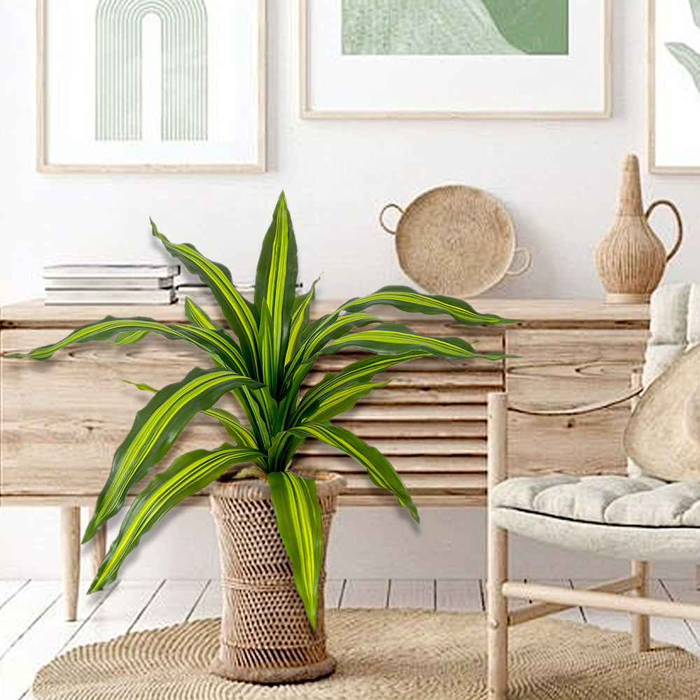 9 Plants Brazil Wood