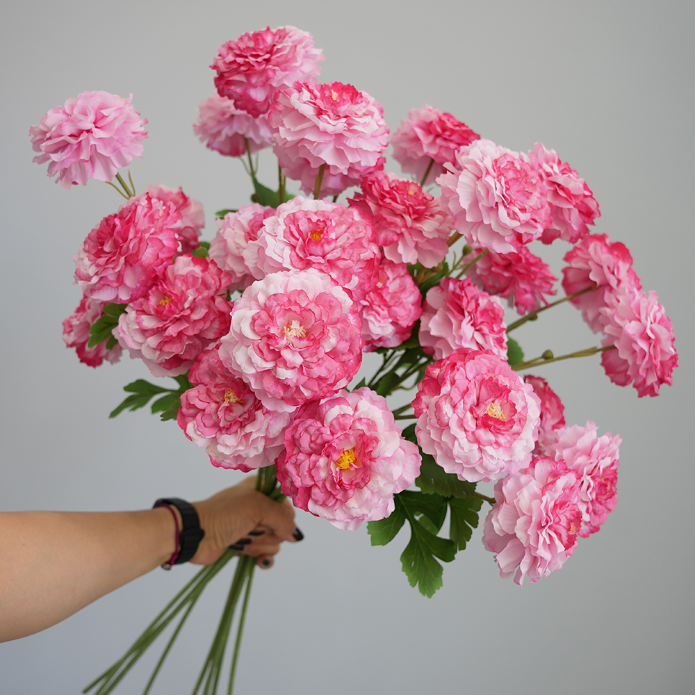 Simulation 3 koi fish