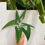 Artificial green Penglai banana leaves