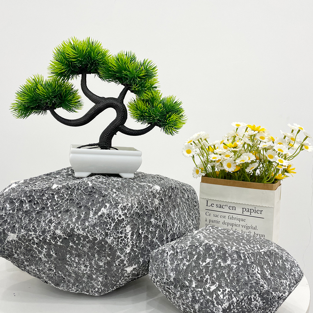 1 Small Pine Tree Potted
