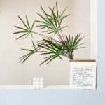 Artificial Peacock Wood