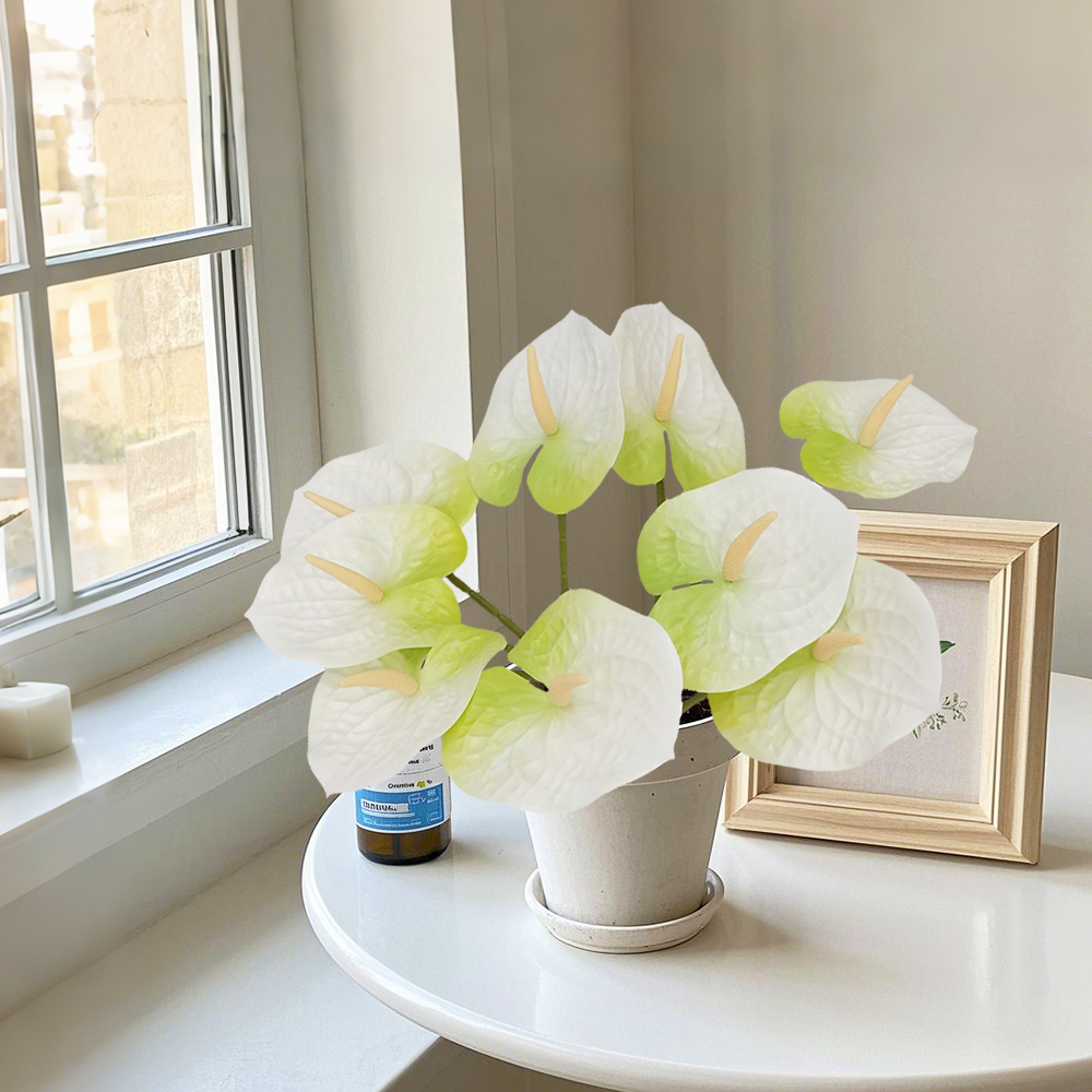 Anthurium Leaves