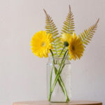 Artificial Plant Leaves