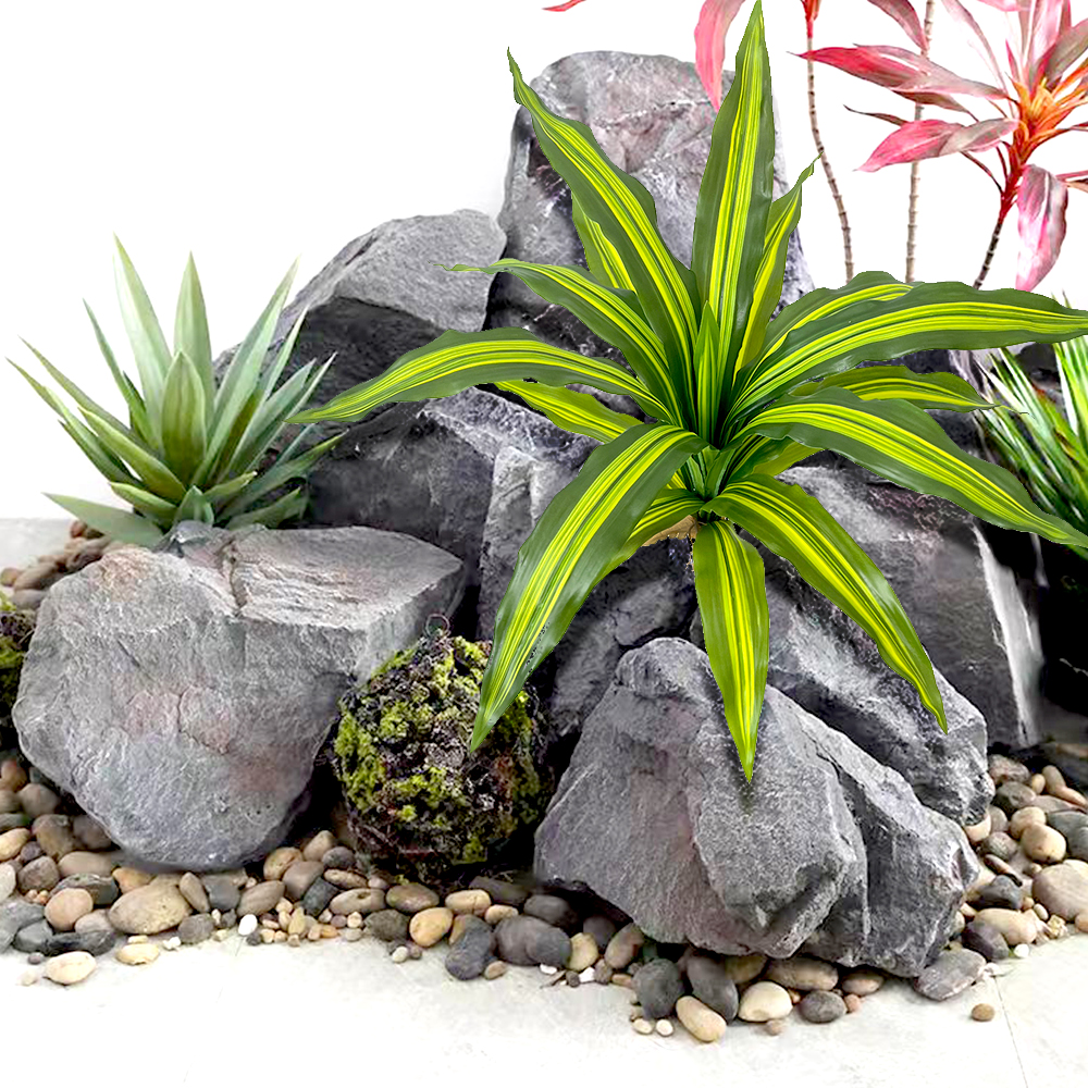 9 Plants Brazil Wood