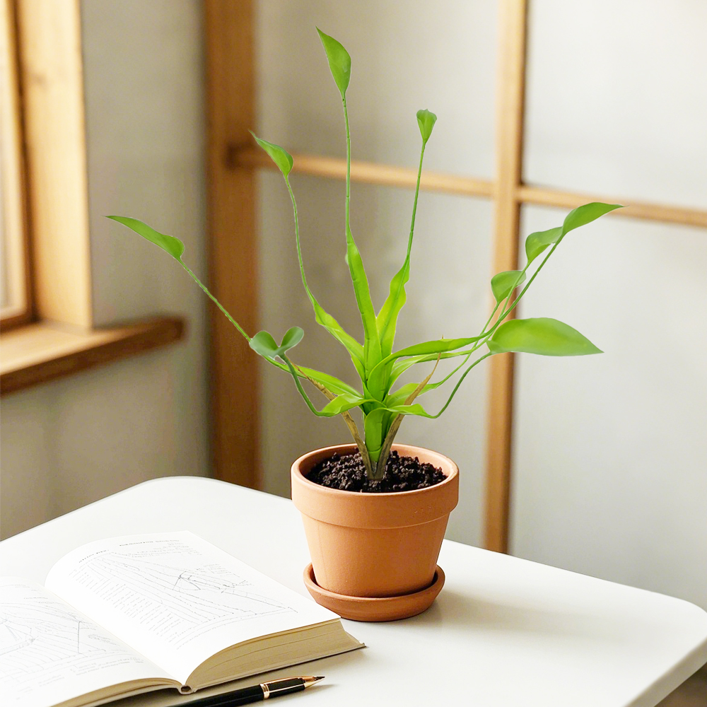 3 Dripping Guanyin Leaves