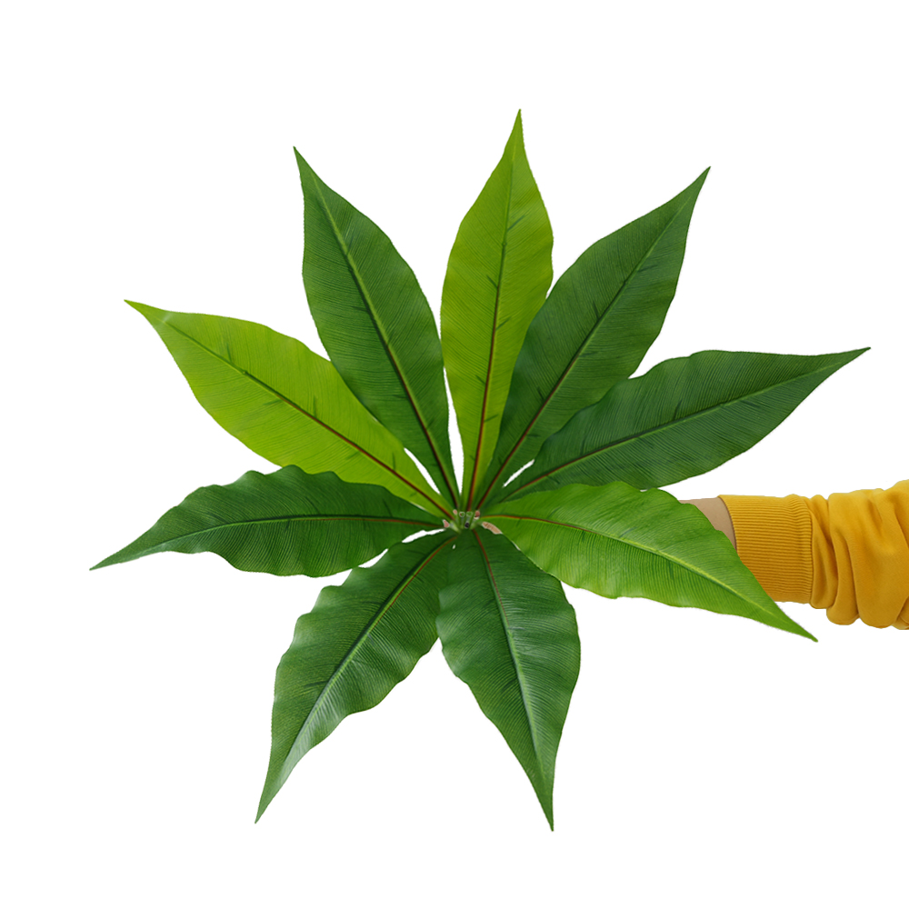 Simulation of green plant Brazilian wood