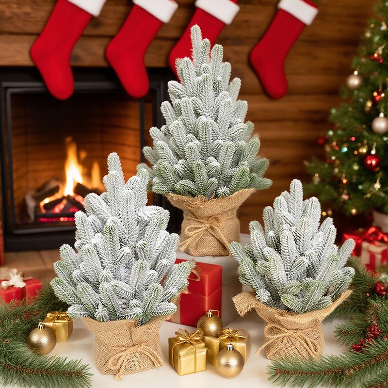 Christmas decorative plants