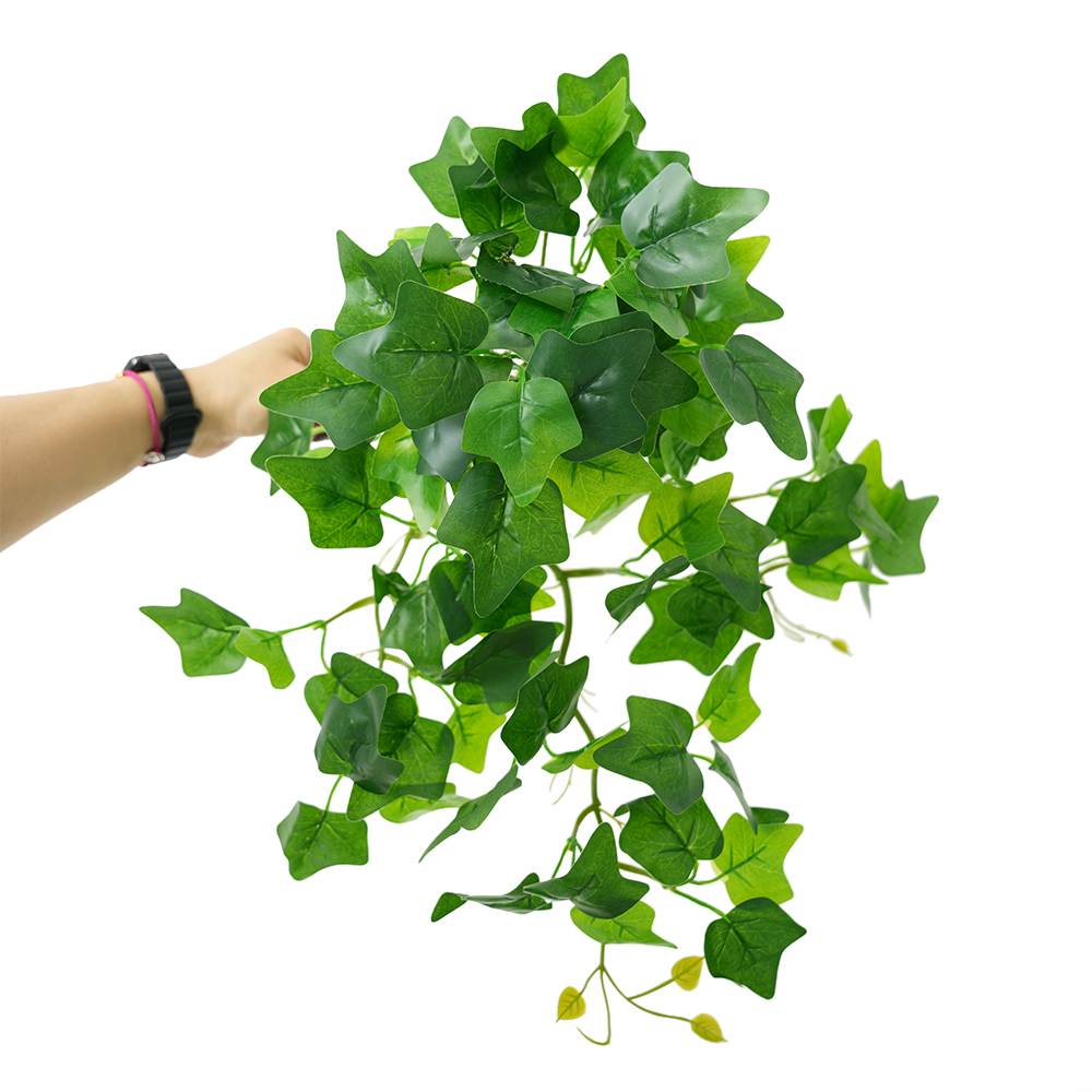 Pseudo-lotus mosaic sweet potato hanging