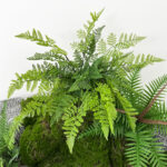 Simulation Soft Gum Persian Grass