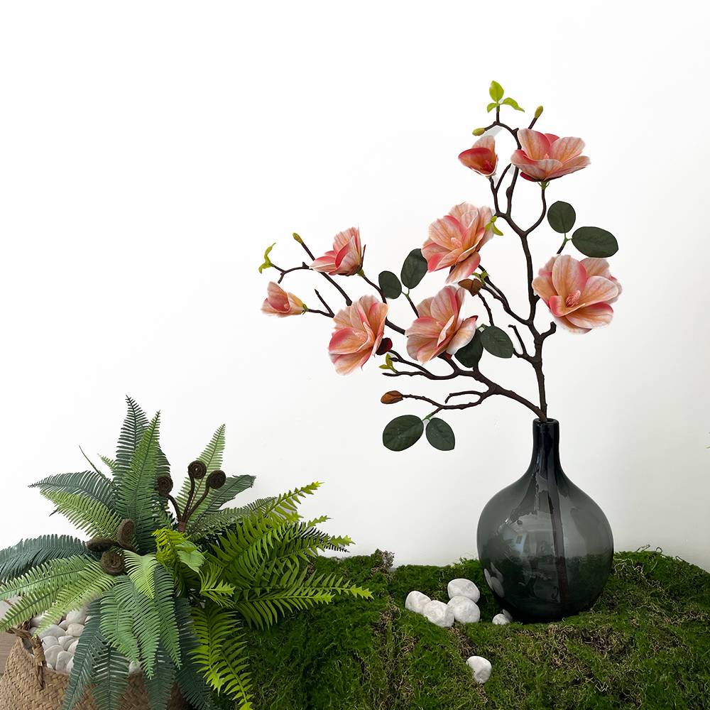 Simulation 4 Magnolia