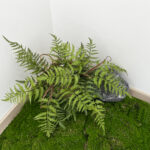 Artificial pine fern