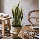 Artificial Tropical Tiger Skin Orchid