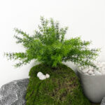 Artificial tropical plants