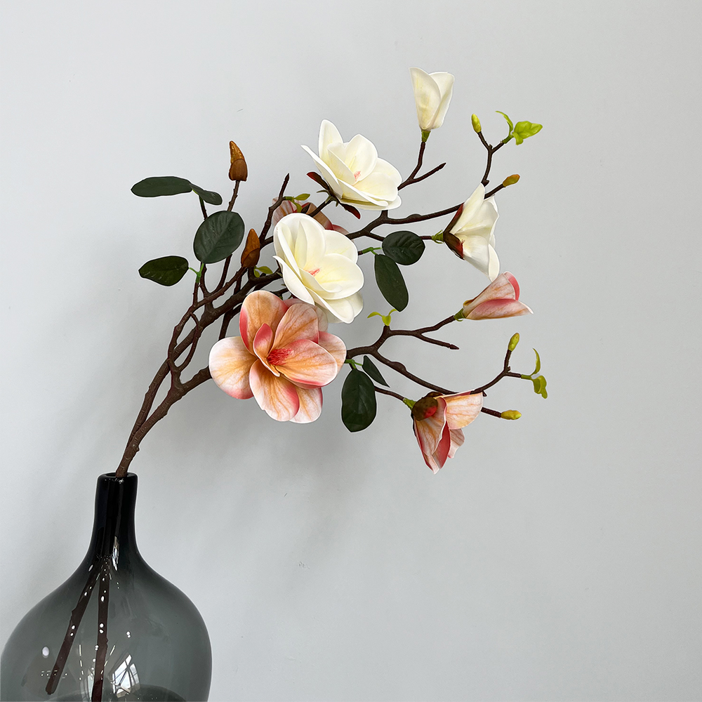 Simulation 4 Magnolia