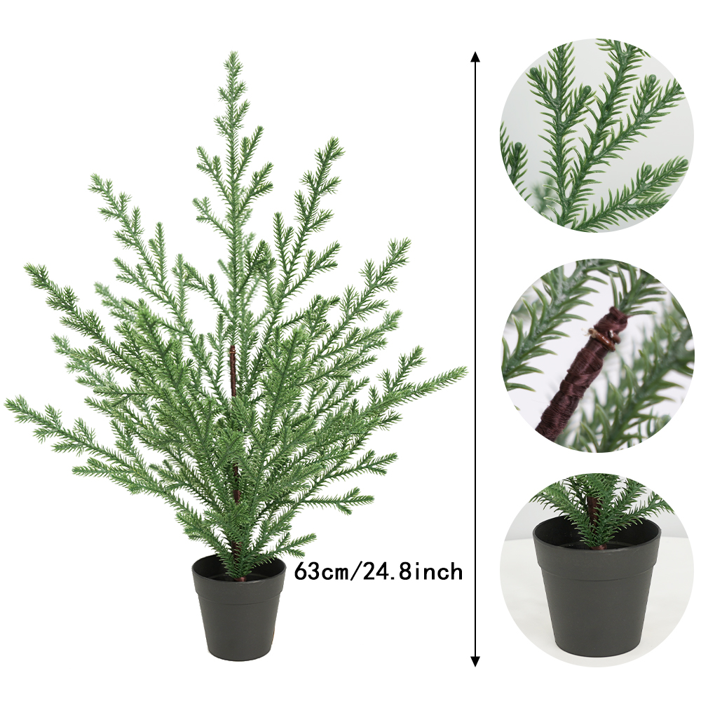 Christmas simulation Norfolk pine