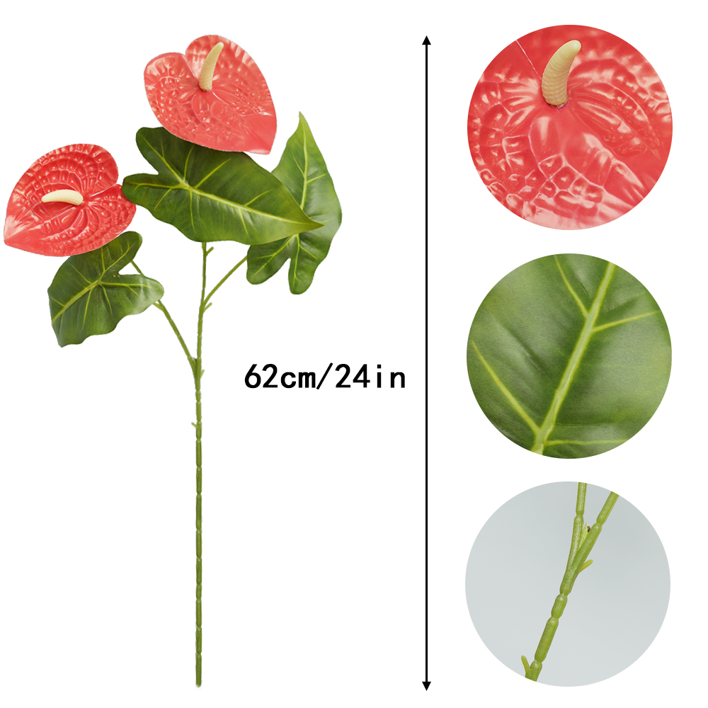 both ends Anthurium